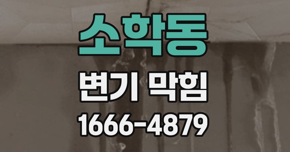 소학동 변기 막힘