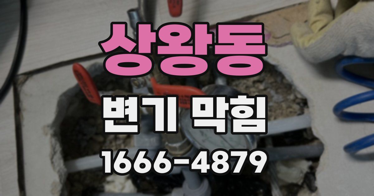 상왕동 변기 막힘