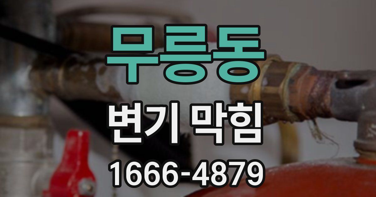 무릉동 변기 막힘