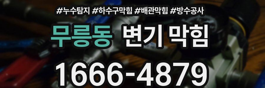 무릉동 변기 막힘