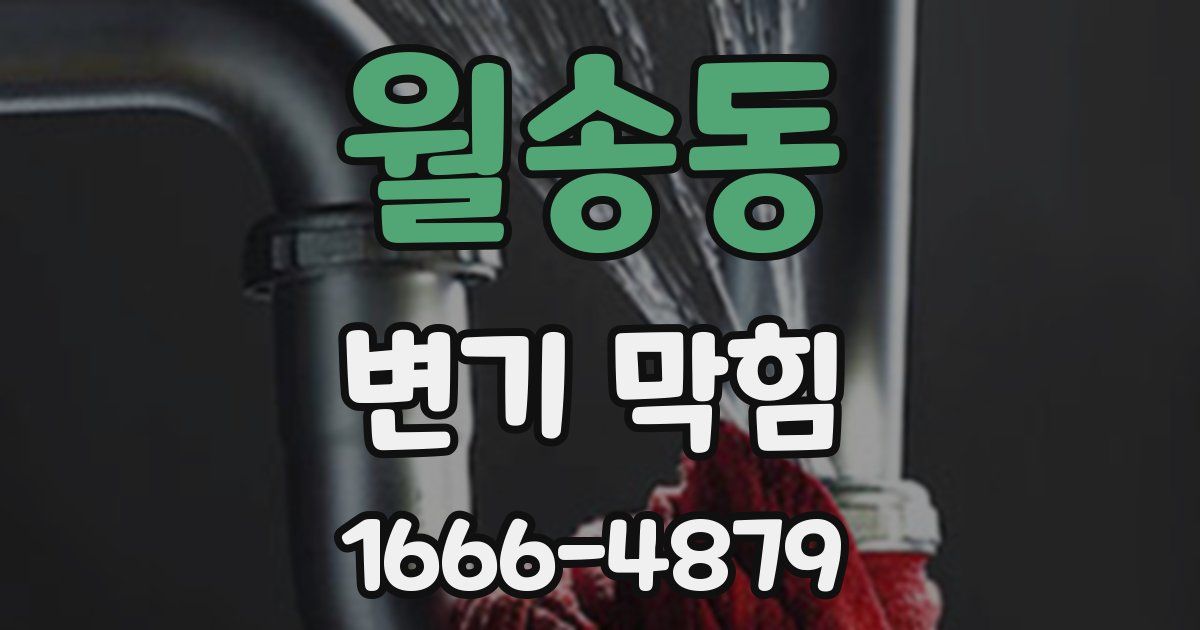 월송동 변기 막힘