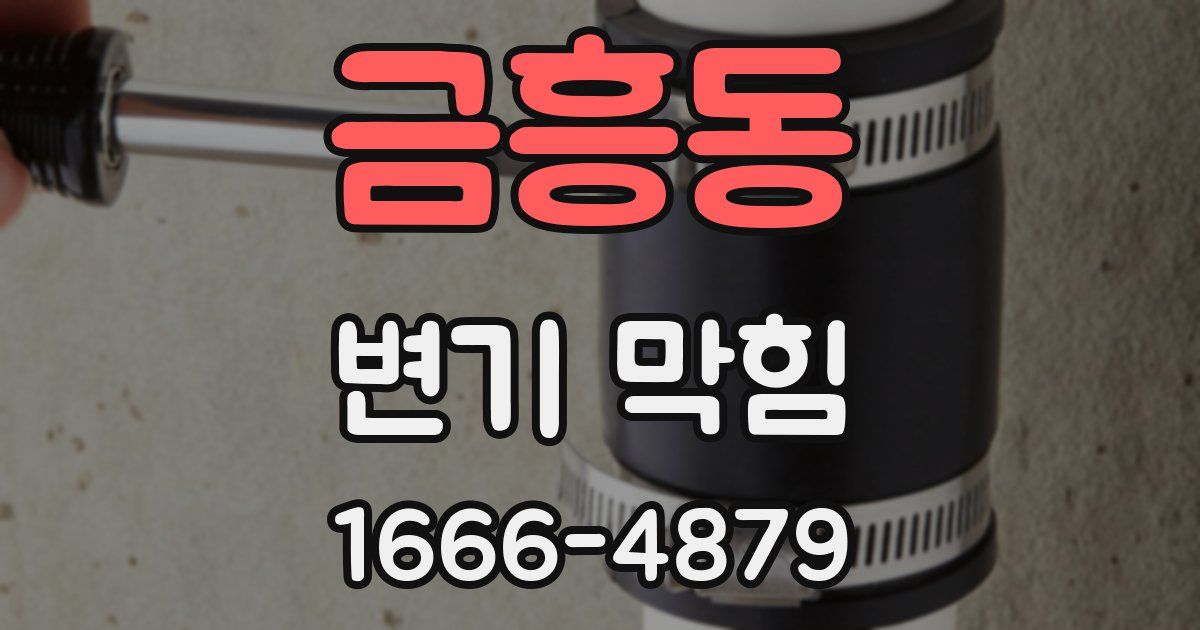 금흥동 변기 막힘