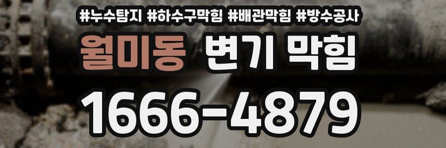 월미동 변기 막힘