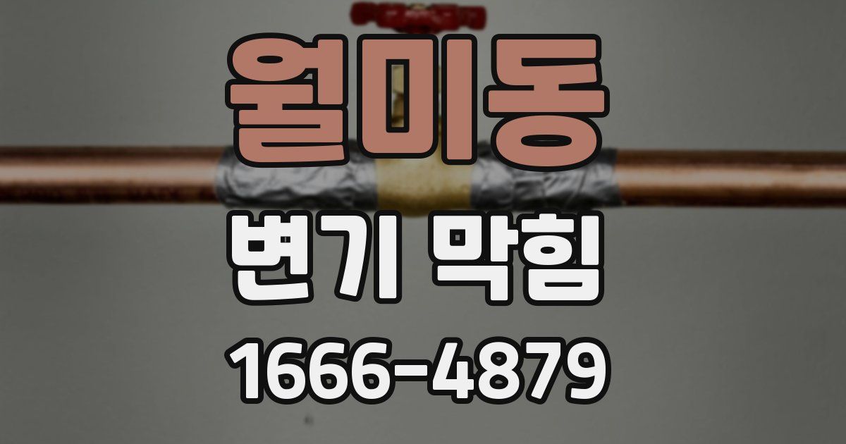 월미동 변기 막힘