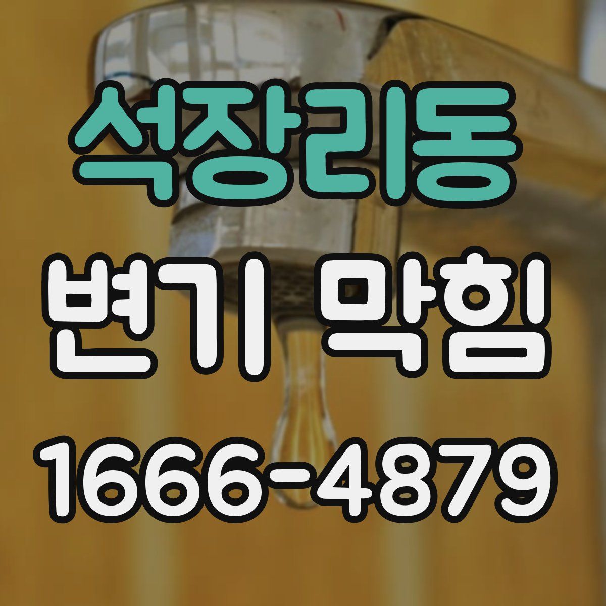 석장리동 변기 막힘