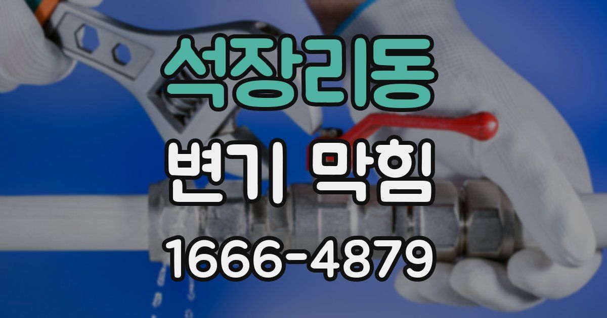 석장리동 변기 막힘