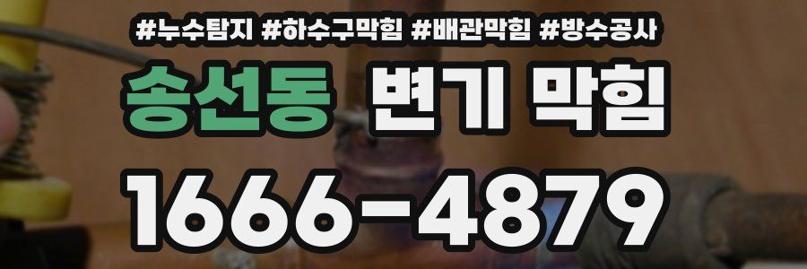 송선동 변기 막힘