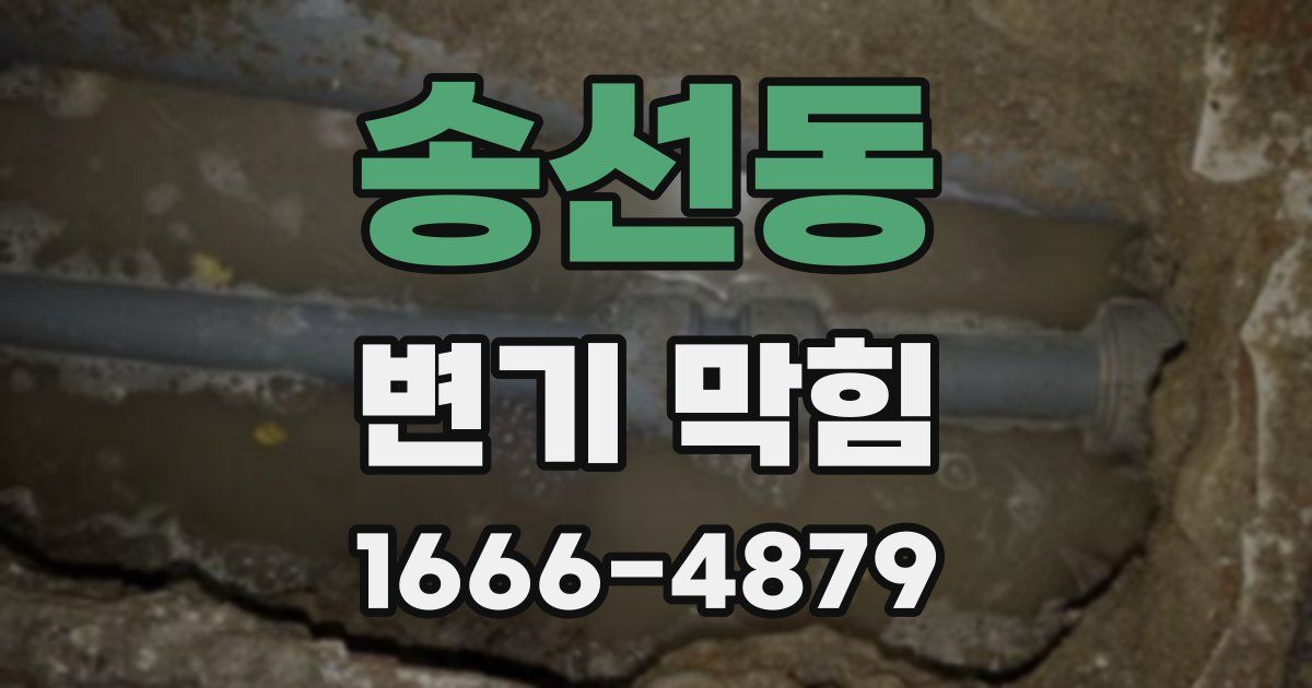 송선동 변기 막힘