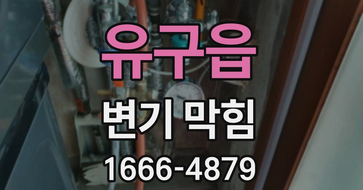 유구읍 변기 막힘