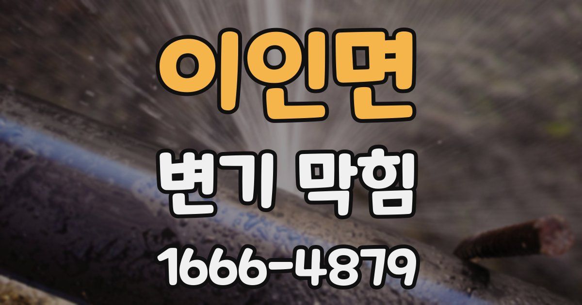 이인면 변기 막힘