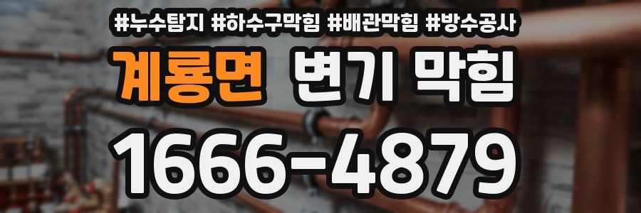 계룡면 변기 막힘