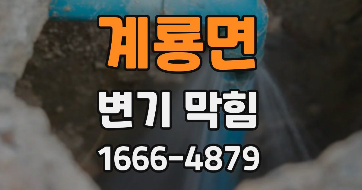 계룡면 변기 막힘