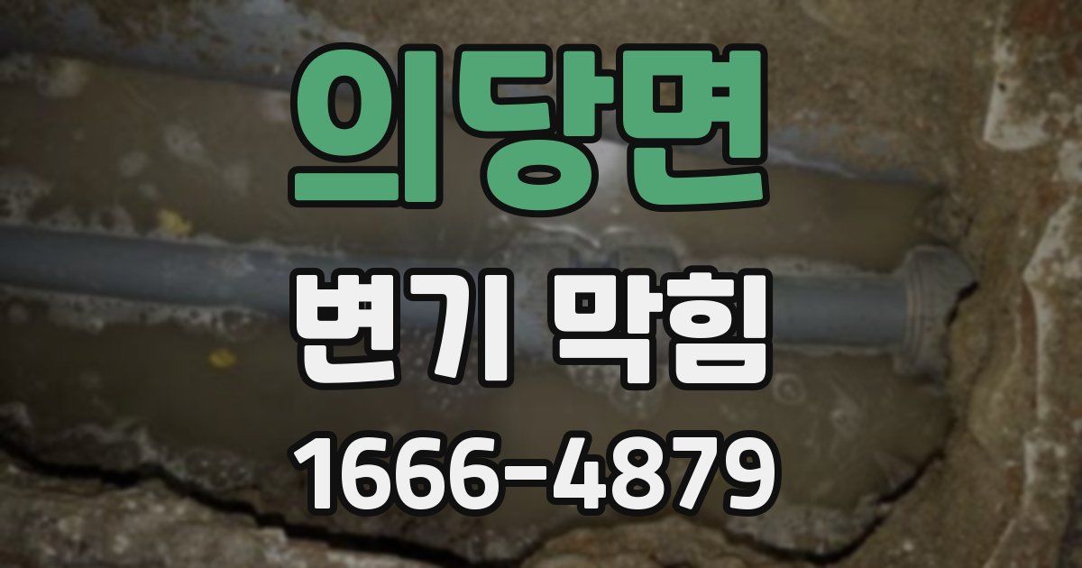 의당면 변기 막힘