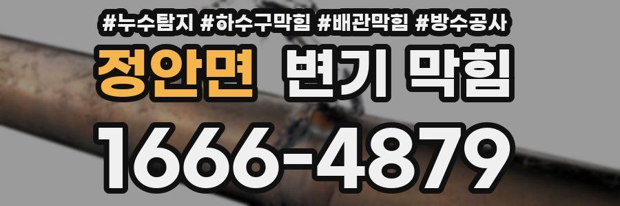 정안면 변기 막힘