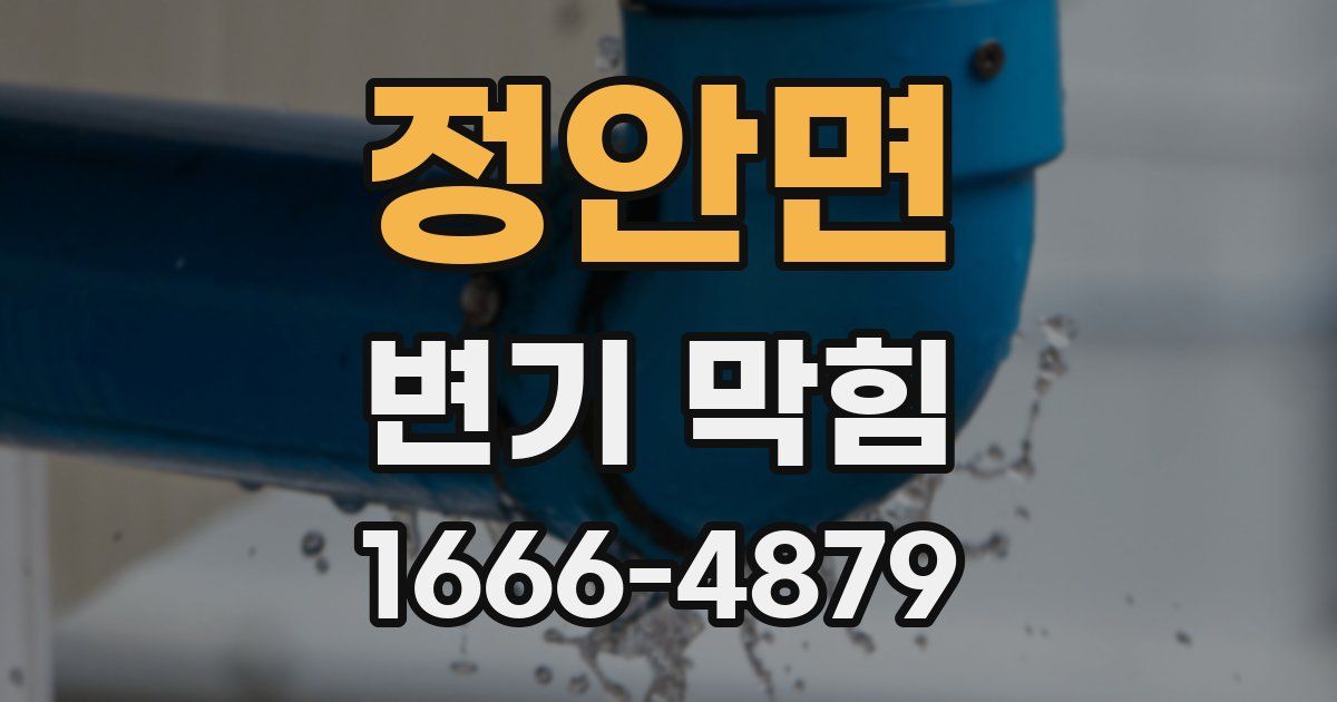 정안면 변기 막힘