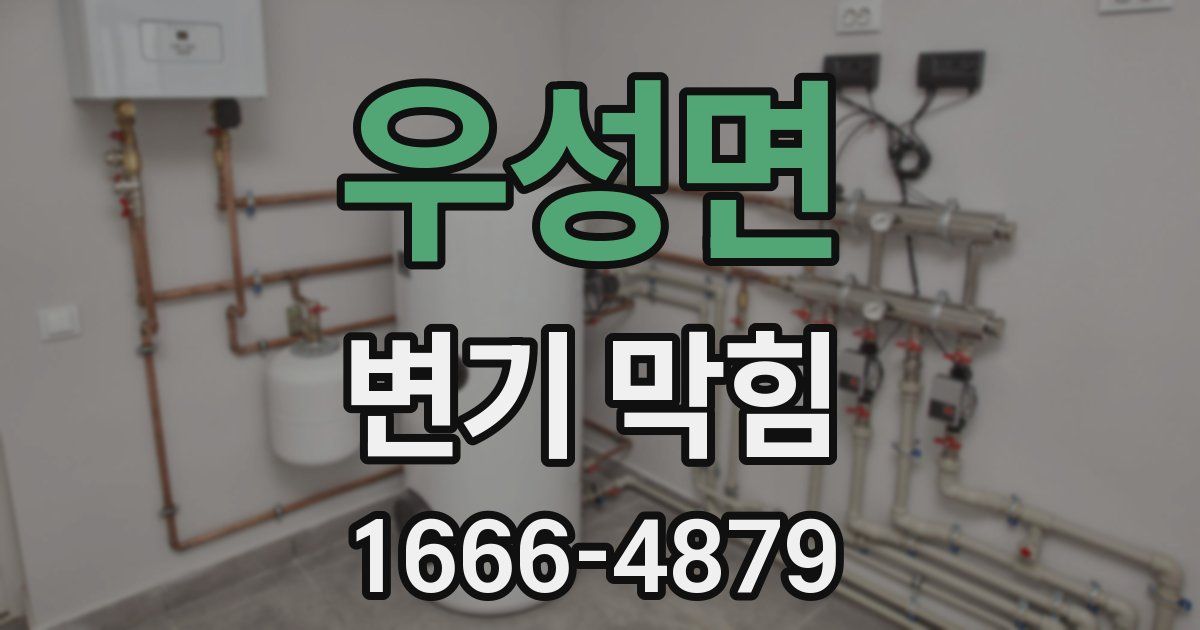 우성면 변기 막힘