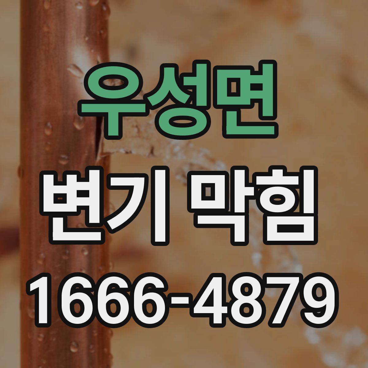 우성면 변기 막힘