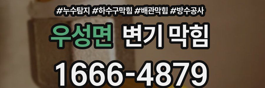 우성면 변기 막힘