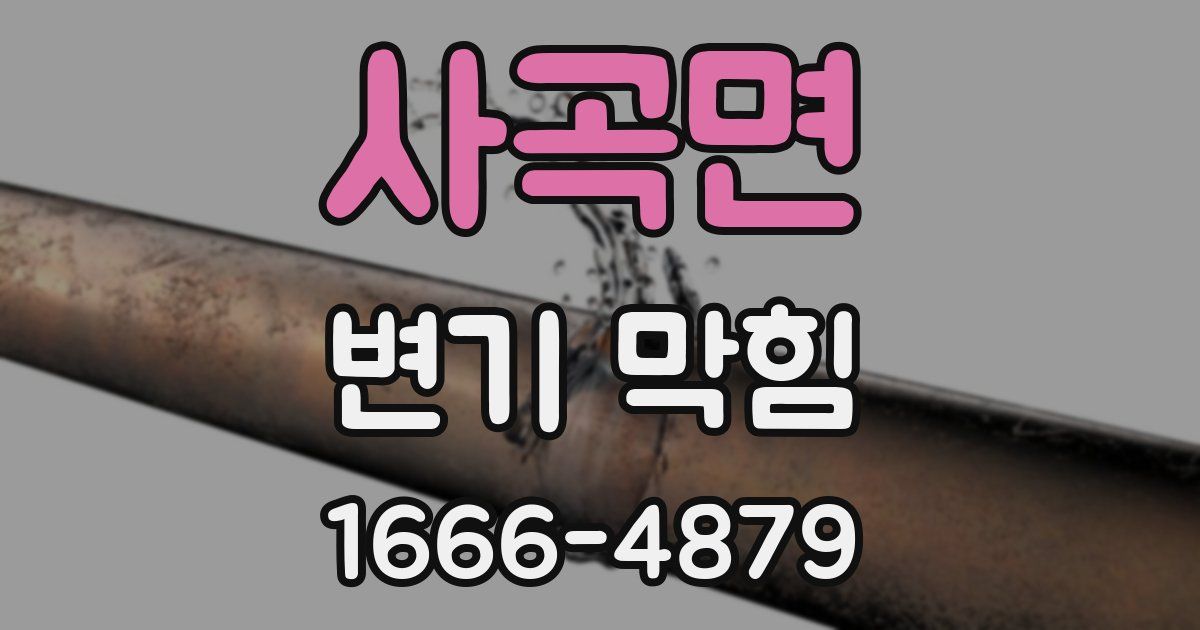 사곡면 변기 막힘