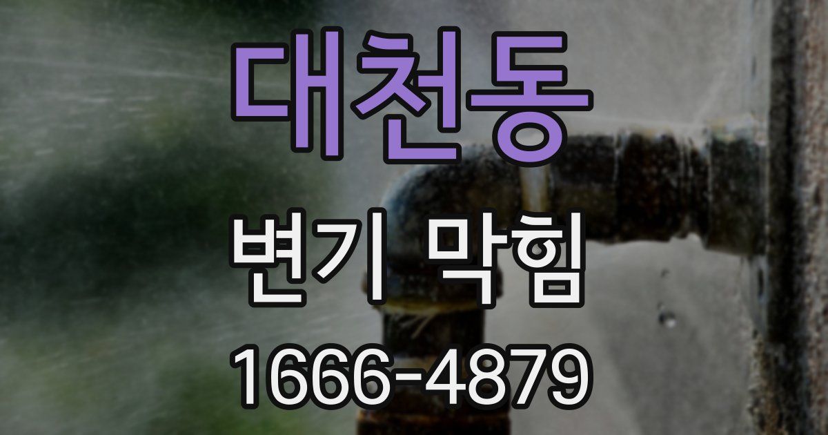 대천동 변기 막힘