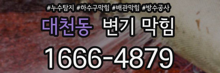 대천동 변기 막힘