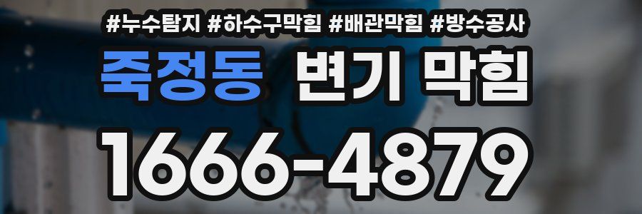 죽정동 변기 막힘