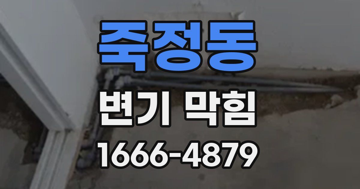죽정동 변기 막힘