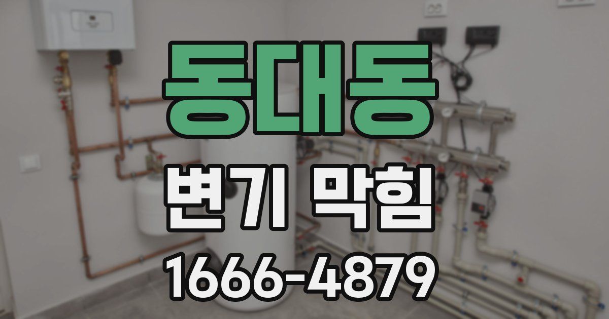 동대동 변기 막힘