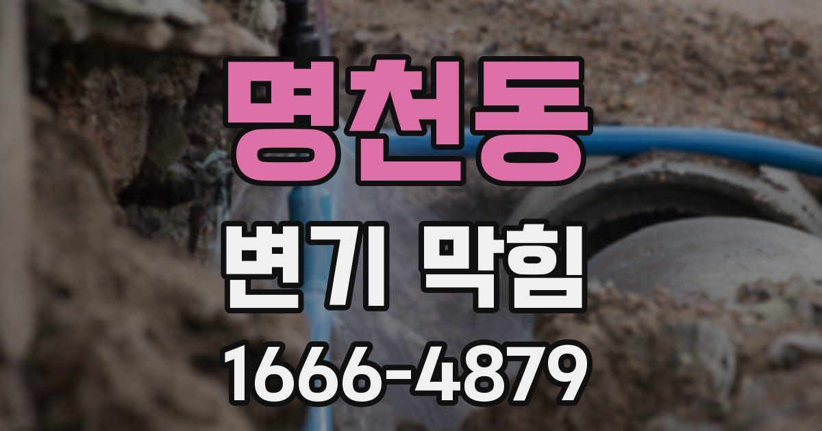 명천동 변기 막힘
