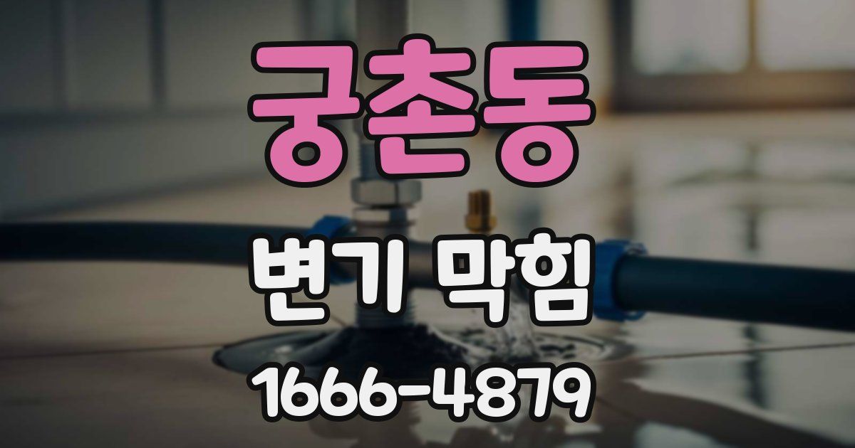 궁촌동 변기 막힘