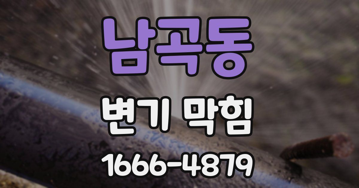 남곡동 변기 막힘