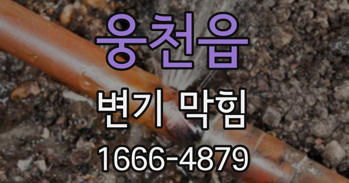 웅천읍 변기 막힘