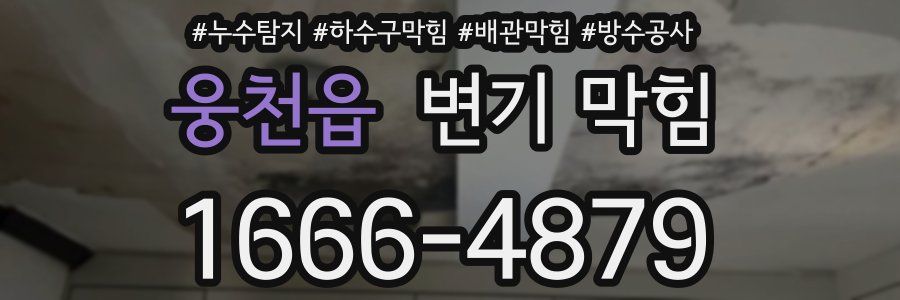 웅천읍 변기 막힘