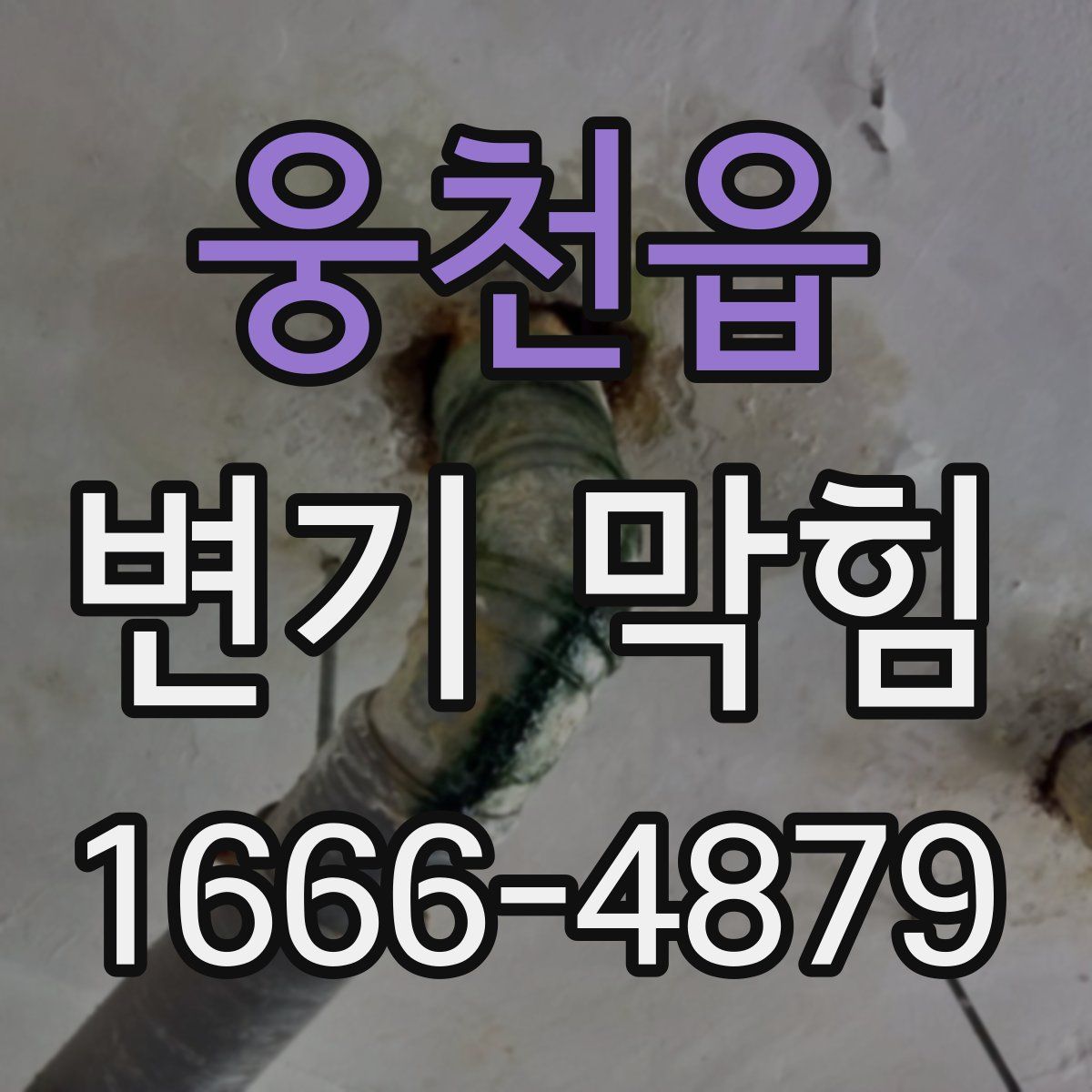 웅천읍 변기 막힘