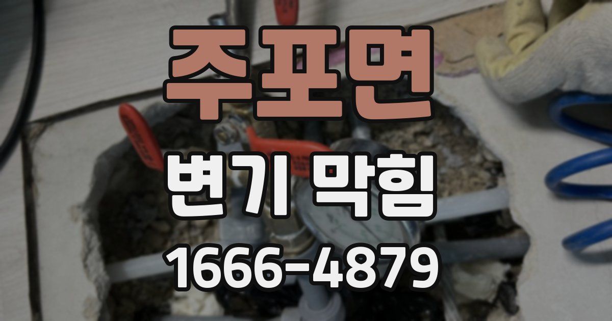 주포면 변기 막힘