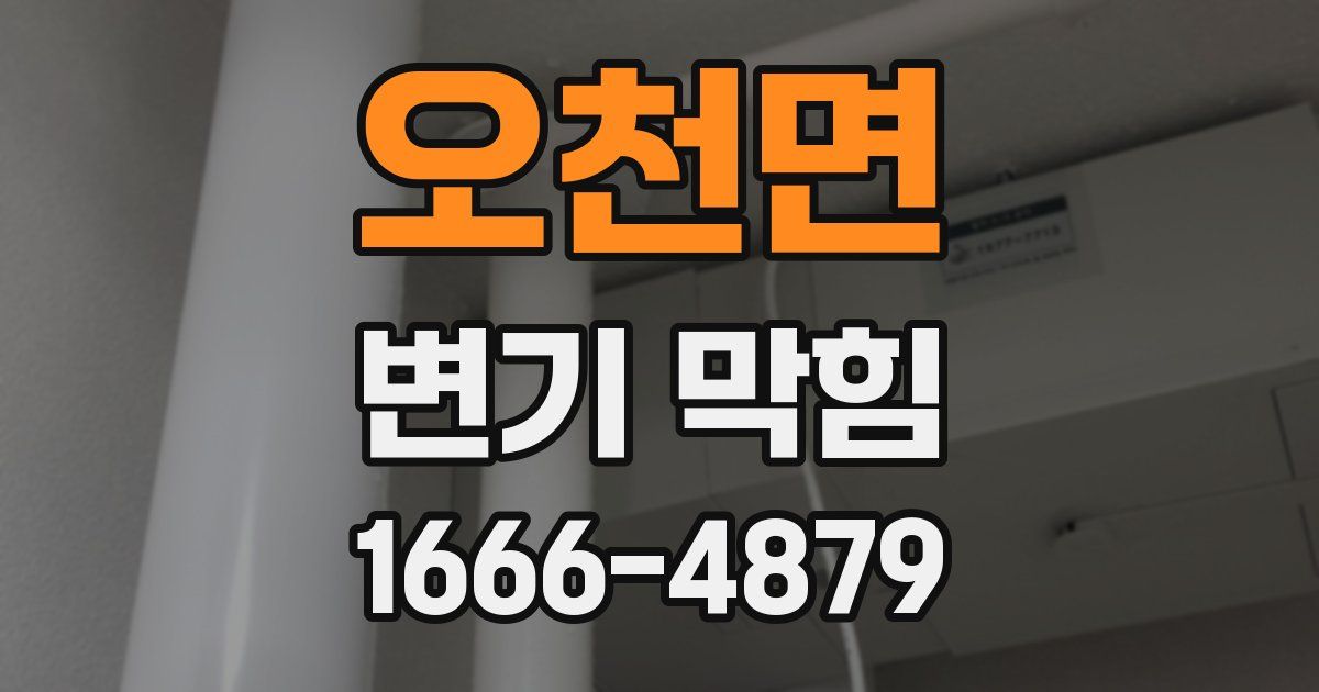 오천면 변기 막힘