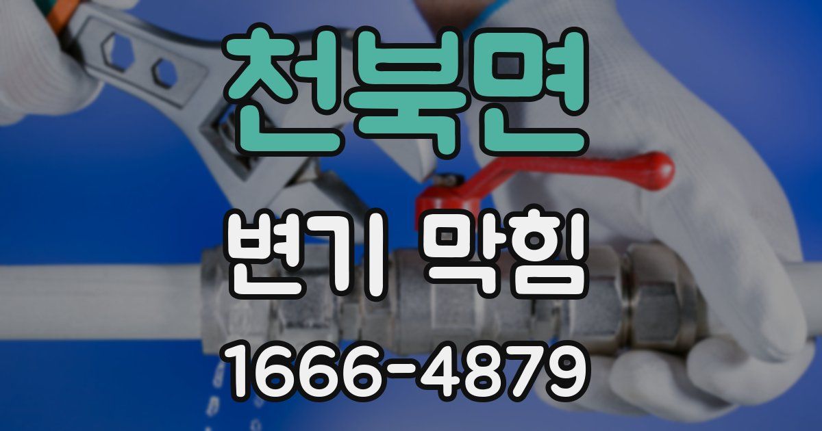 천북면 변기 막힘