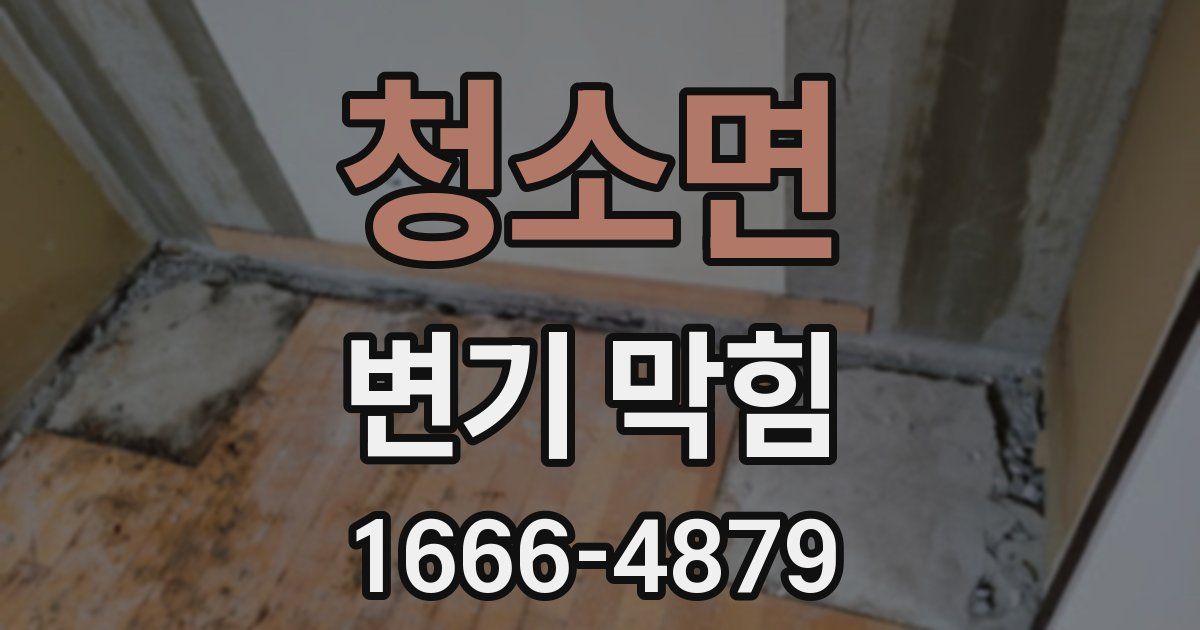 청소면 변기 막힘