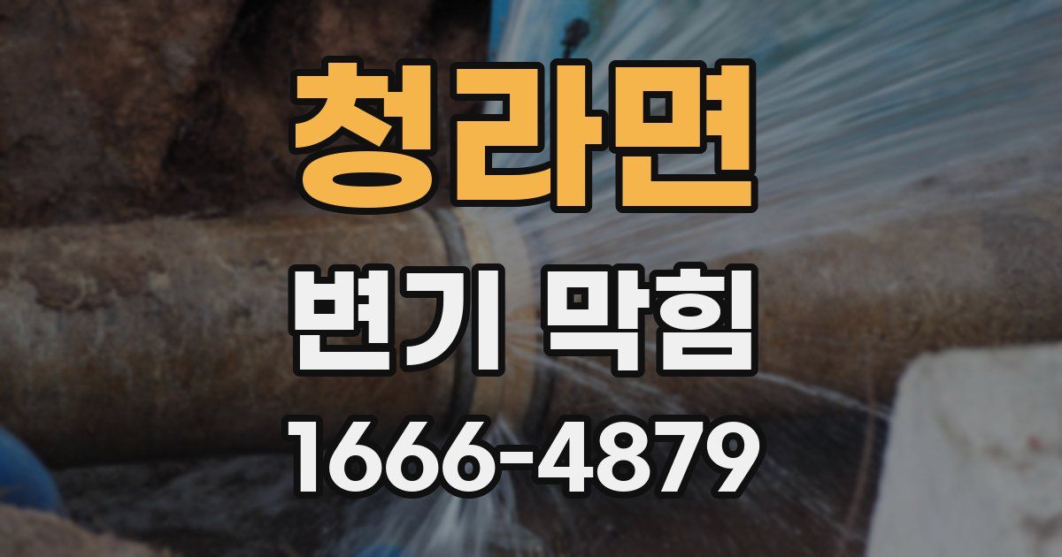 청라면 변기 막힘