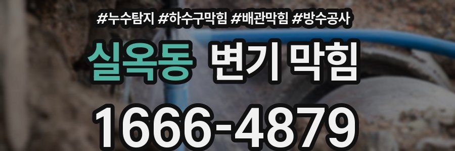 실옥동 변기 막힘