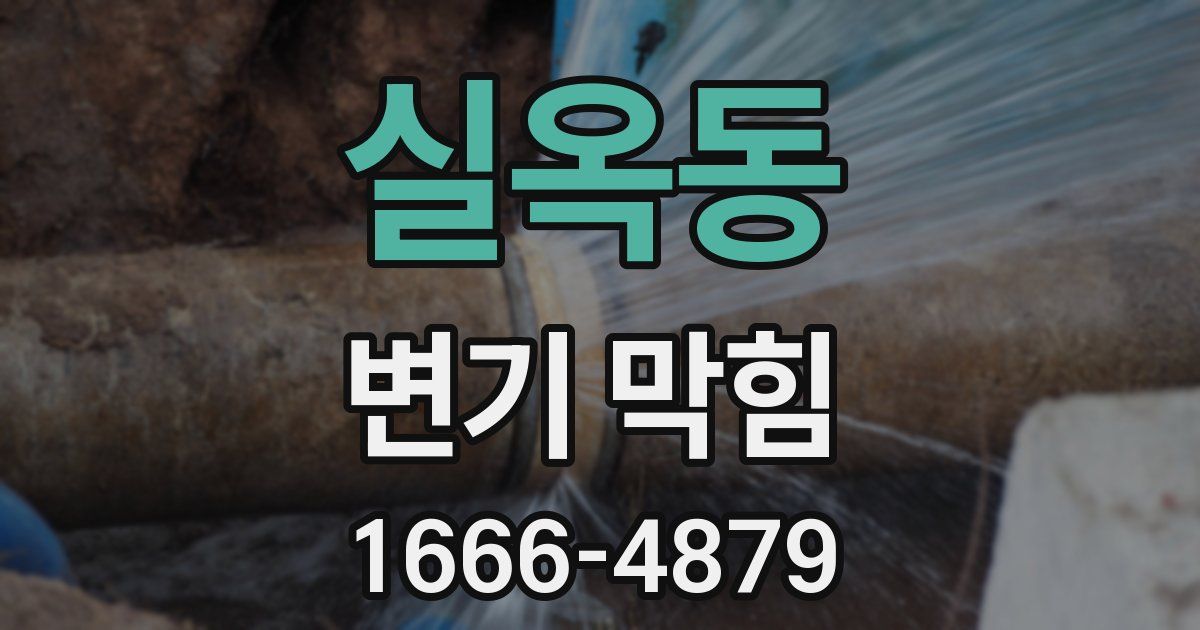 실옥동 변기 막힘