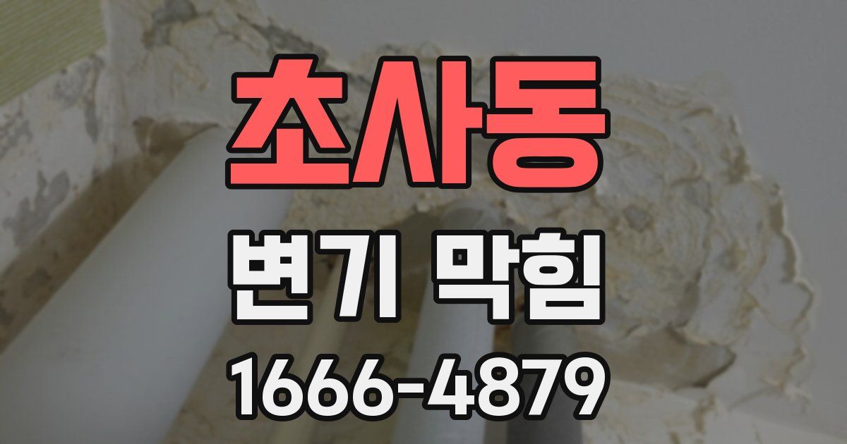 초사동 변기 막힘