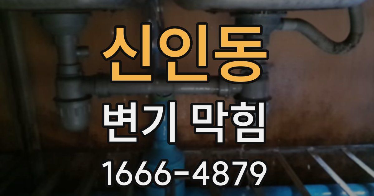 신인동 변기 막힘