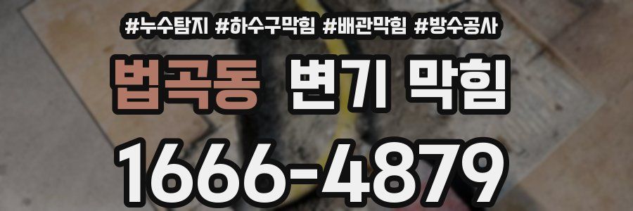 법곡동 변기 막힘