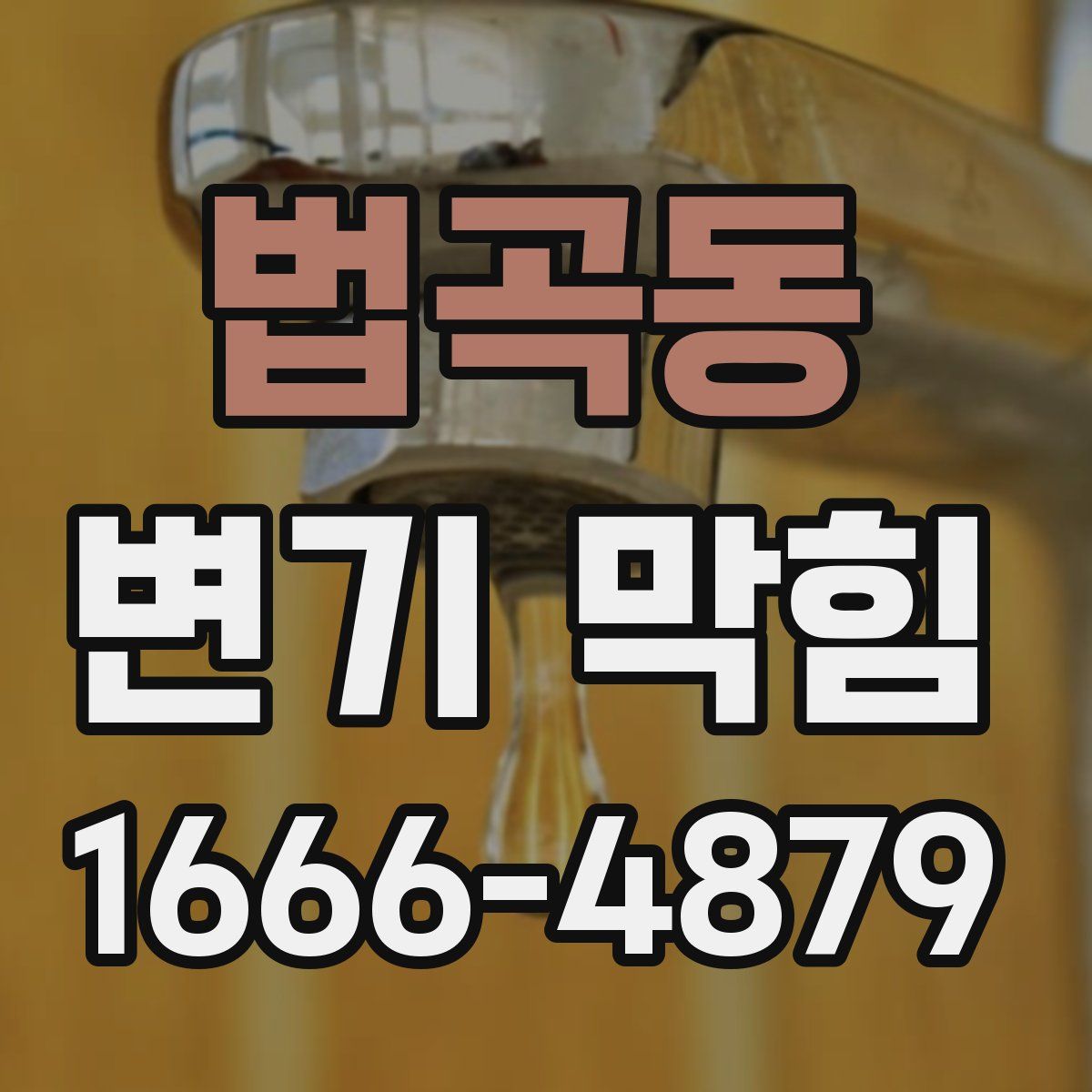 법곡동 변기 막힘