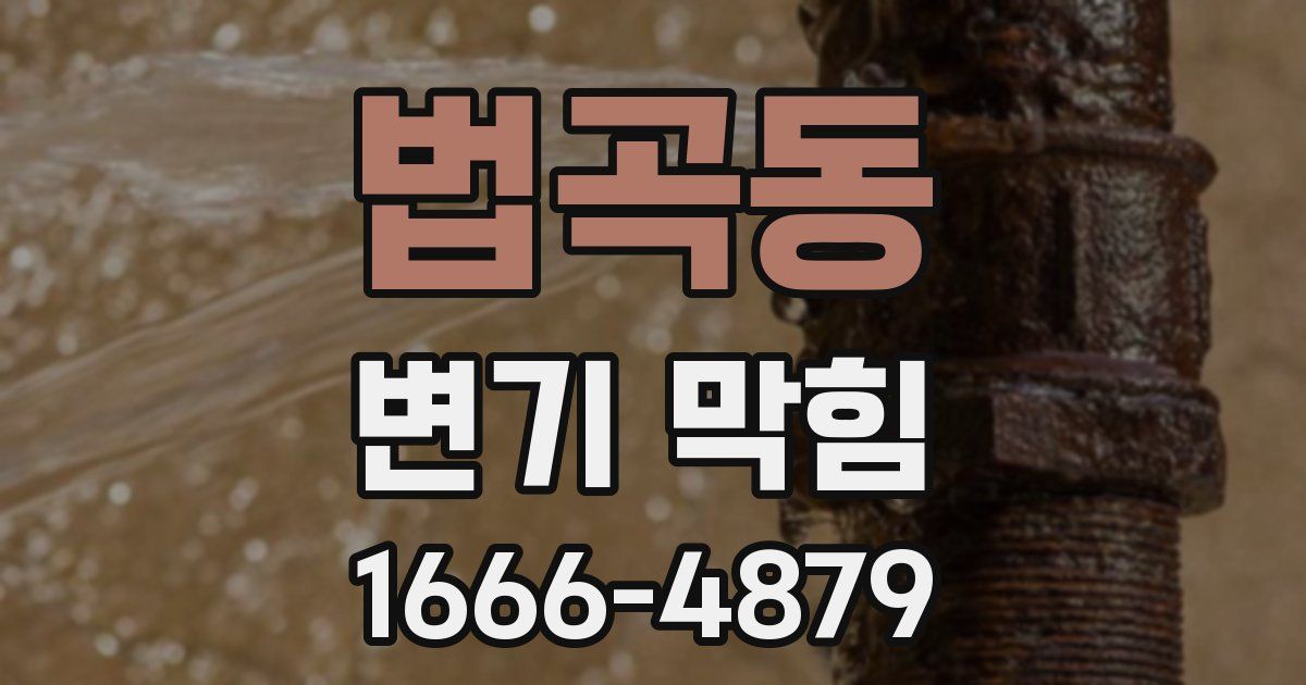 법곡동 변기 막힘
