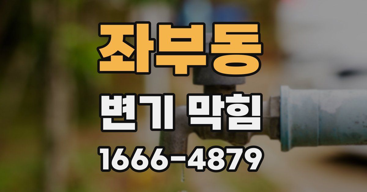좌부동 변기 막힘