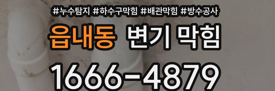 읍내동 변기 막힘