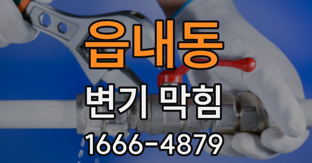 읍내동 변기 막힘