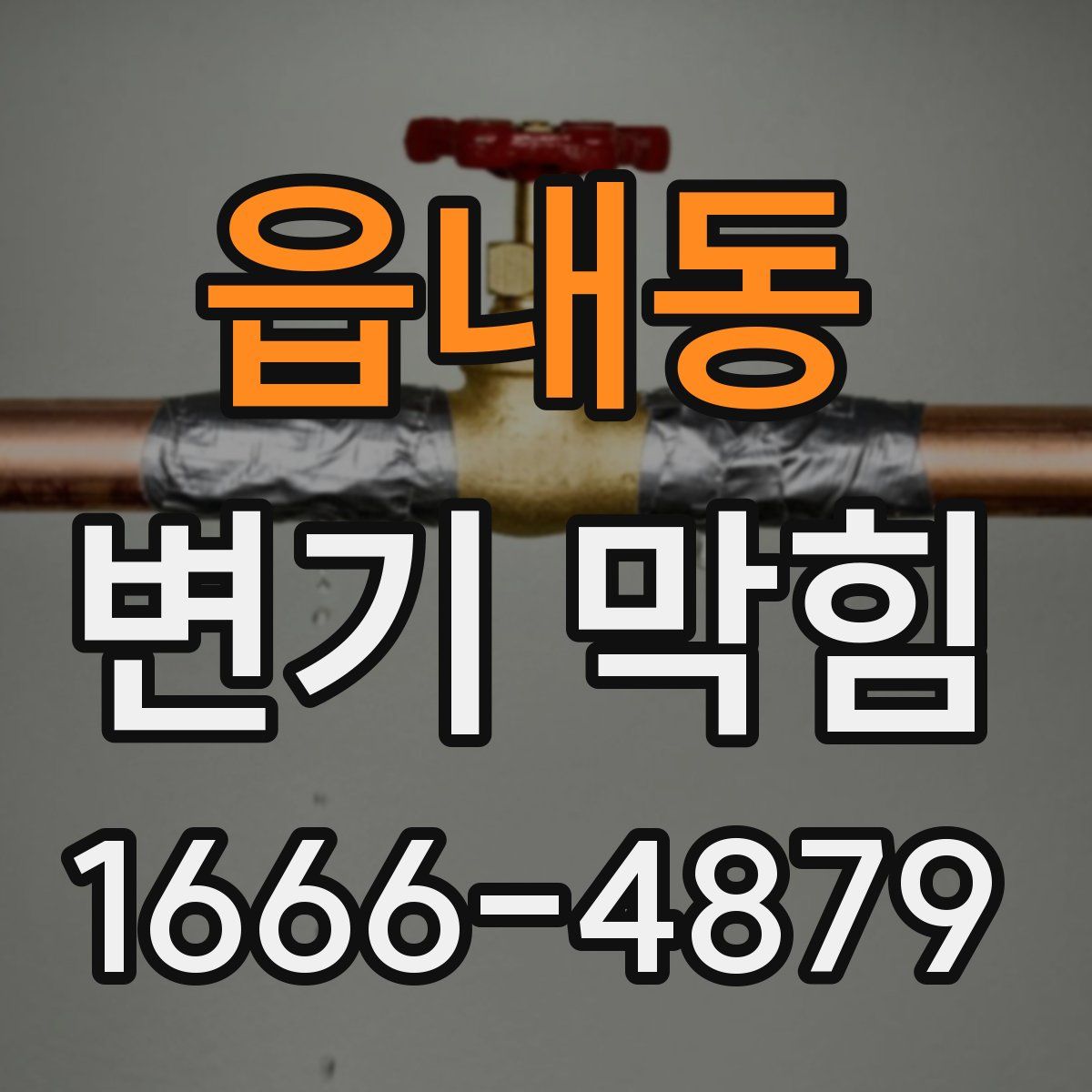 읍내동 변기 막힘